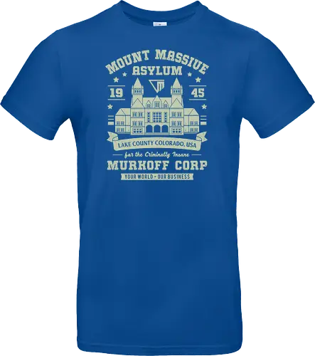 Mount Massive Asylum Vintage