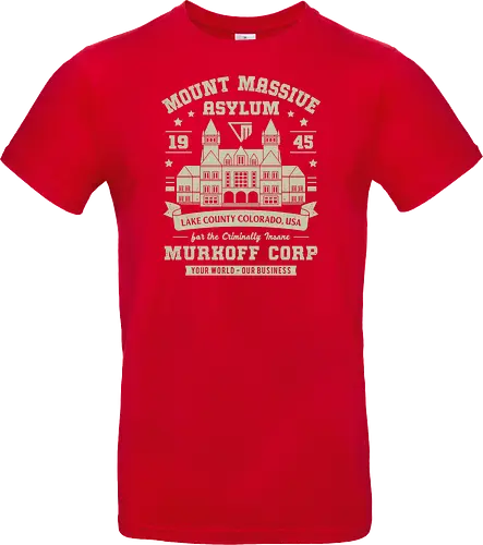 Mount Massive Asylum Vintage