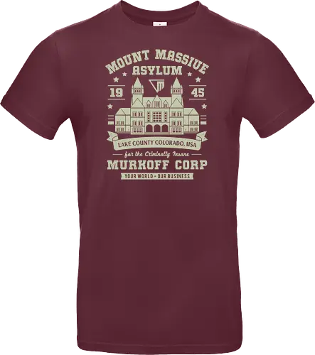 Mount Massive Asylum Vintage
