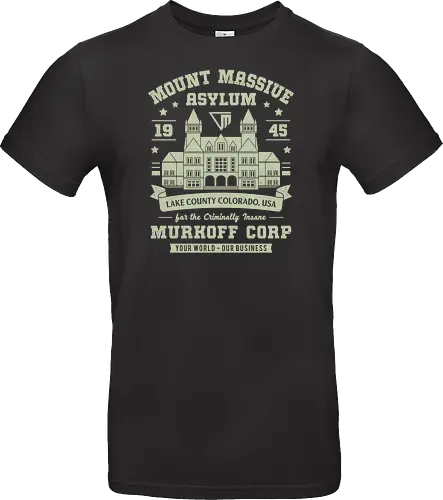 Mount Massive Asylum Vintage