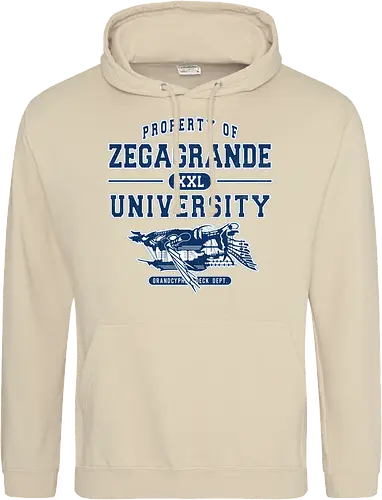 Zegagrande University