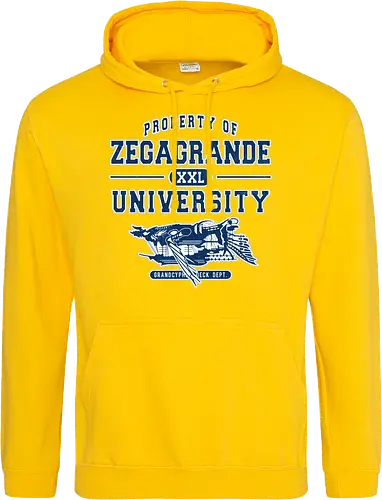 Zegagrande University