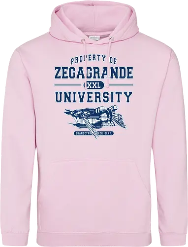Zegagrande University