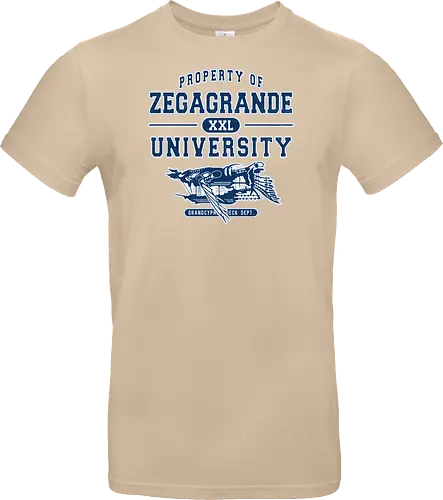 Zegagrande University