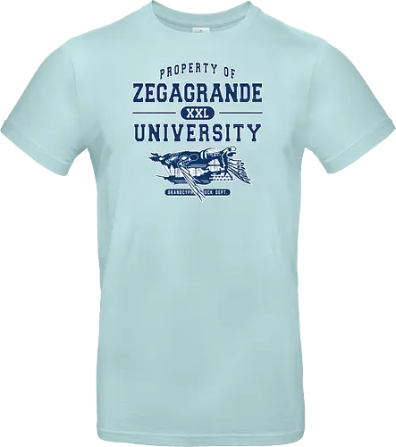 Zegagrande University