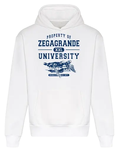 Zegagrande University