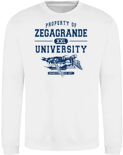 Zegagrande University