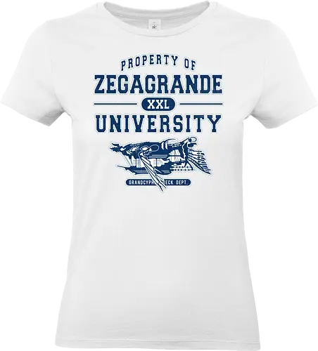 Zegagrande University - granblue fantasy reHero of Time, granblue fantasy, zegagrande, versus, game, gamer, gaming, video games, jrpg, vyrn, djeeta, vaseraga, rising, grandcypher, narmaya - Standard T-Shirt (Women)