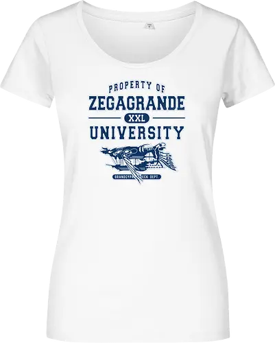 Zegagrande University