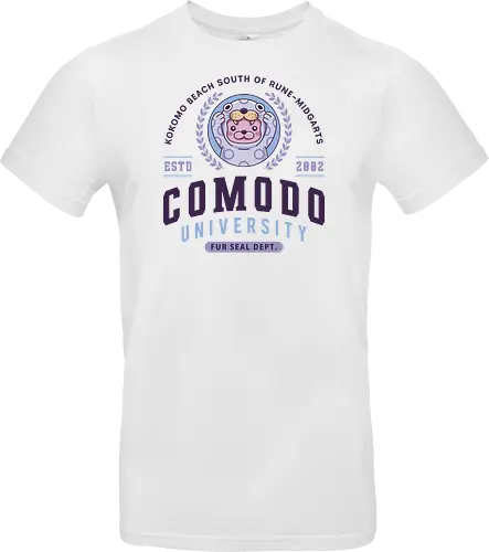 Comodo Beach Fur Seal University