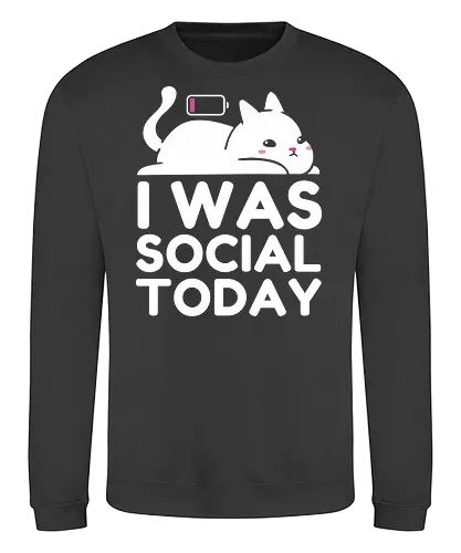 I Was Social Today - social, cat, funny, antisocial, humor, animal, battery, not today, nope. - Sweatshirt
