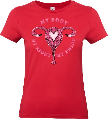 flamingo pride  - womanpower, rights, flamingo, bird, pink, beautiful, love - Standard T-Shirt (Women)