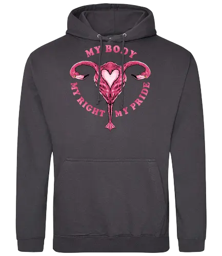 flamingo pride  - womanpower, rights, flamingo, bird, pink, beautiful, love - Standard Hoodie