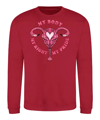 flamingo pride  - womanpower, rights, flamingo, bird, pink, beautiful, love - Sweatshirt