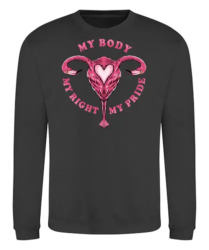 flamingo pride  - womanpower, rights, flamingo, bird, pink, beautiful, love - Sweatshirt