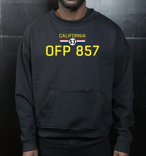 California Plate Beetle Herbie