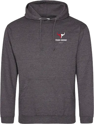 Team-Sense