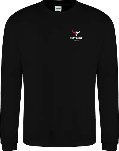 Team-Sense