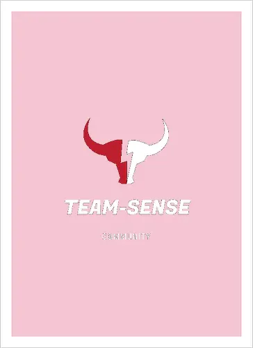 Team-Sense