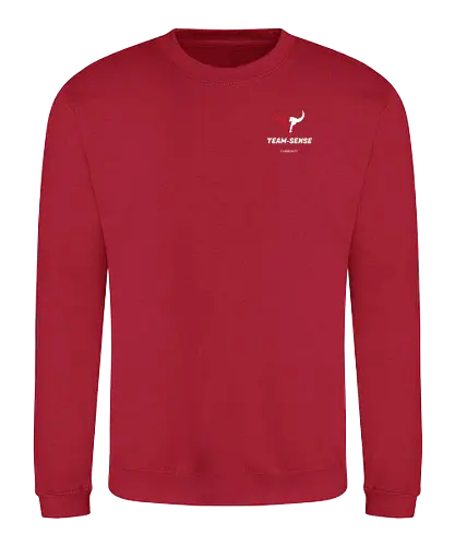 Team-Sense - Team-sense, Emblem - Sweatshirt