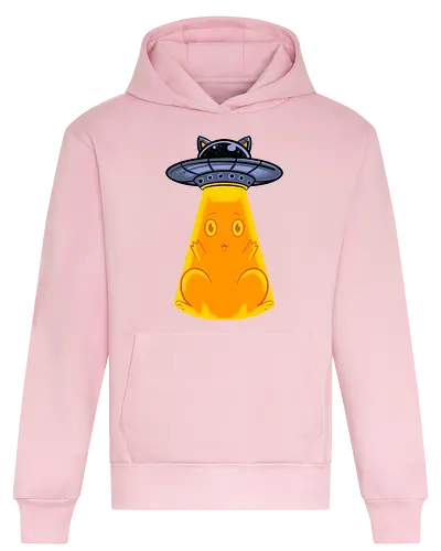 big catch  - cat, animal, cute, funny, shape, catlover, fun, ufo, alien, scifi, fantasy - Heavyweight Hoodie