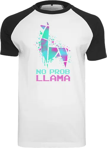 No Probllama