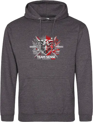 Team-Sense