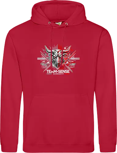 Team-Sense