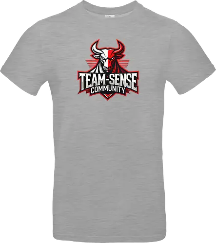 Team-Sense
