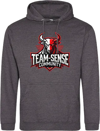 Team-Sense