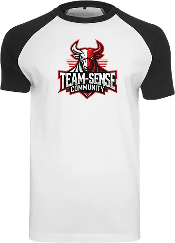 Team-Sense