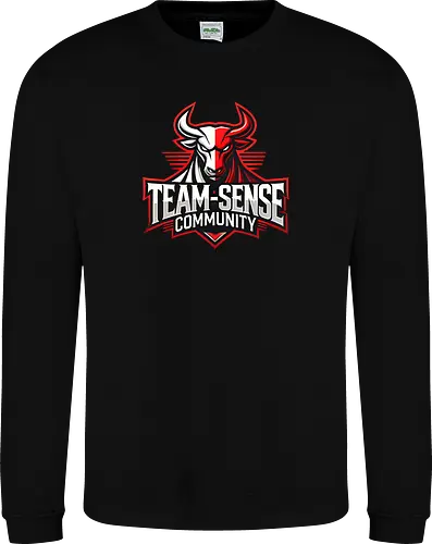 Team-Sense