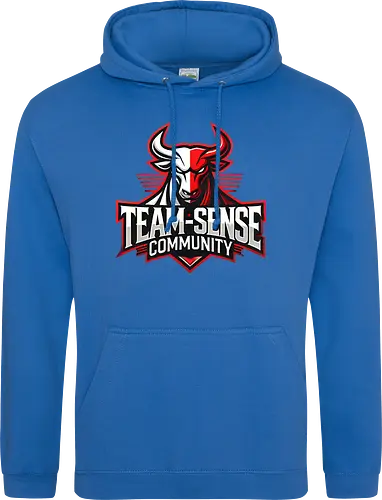 Team-Sense