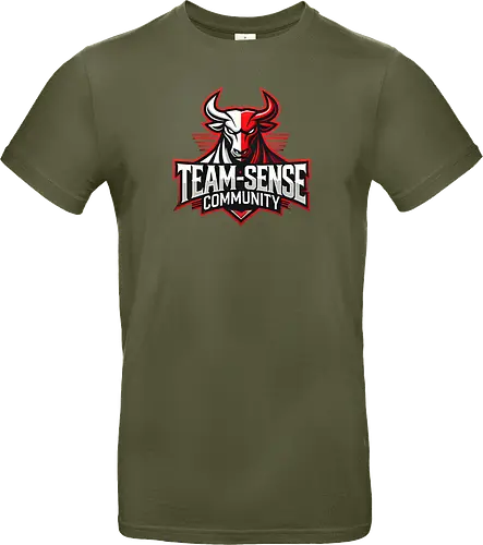 Team-Sense