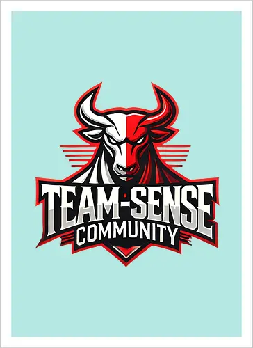 Team-Sense