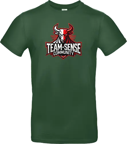 Team-Sense