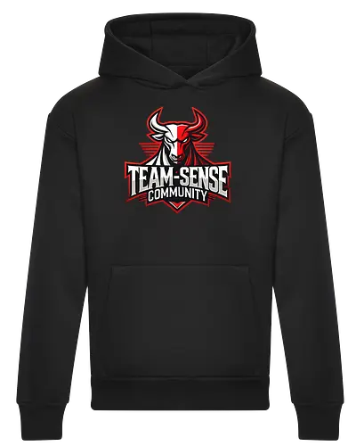 Team-Sense