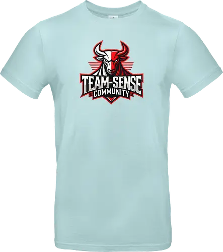 Team-Sense