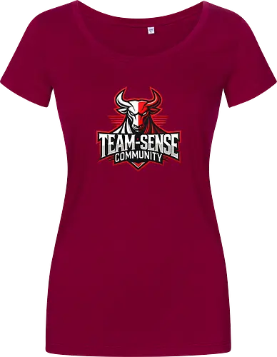 Team-Sense