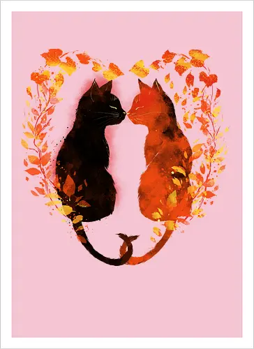 Cats,fall and love
