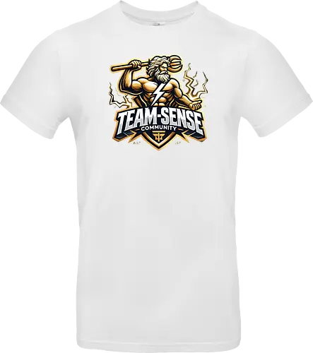 Zeus Team-Sense