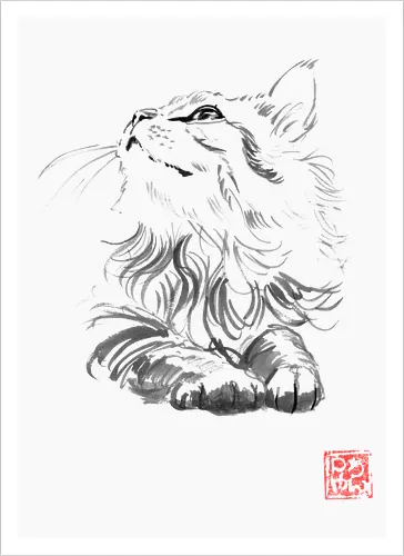 happy cat
