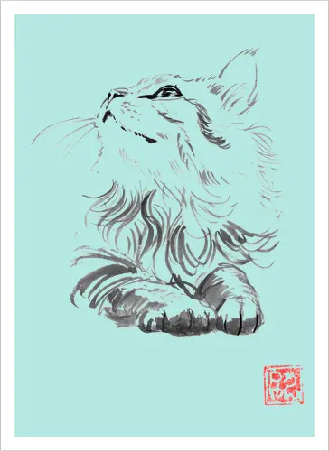 happy cat