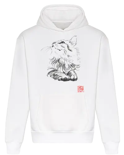 happy cat