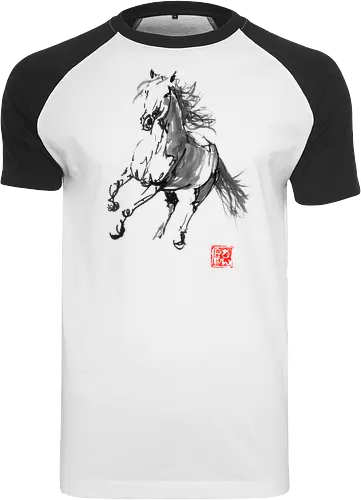horse running
