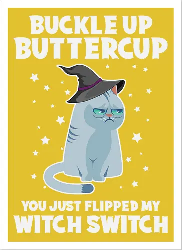 Buckle up buttercup, you just flipped my witch switch