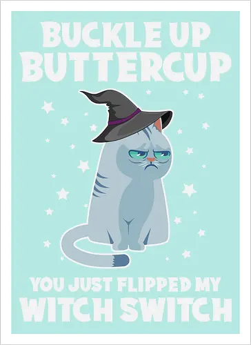 Buckle up buttercup, you just flipped my witch switch
