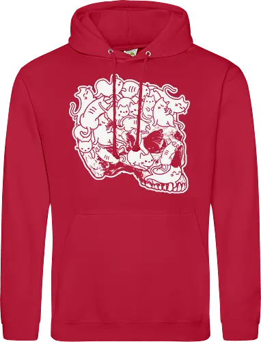 Cat skull