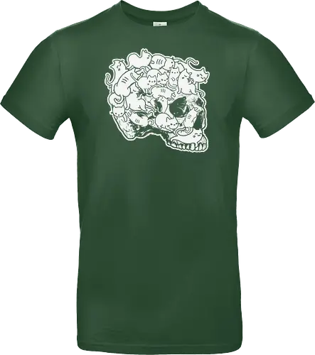 Cat skull
