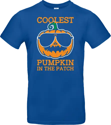 Coolest Pumpkin in the Patch orange